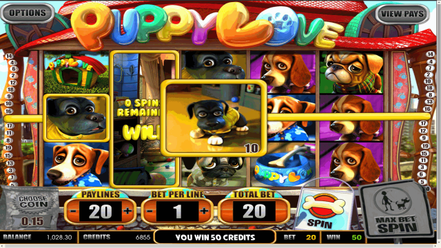 Бонусная игра Puppy Love 5